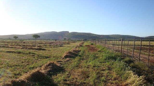 0 Bedroom Property for Sale in Oudtshoorn Rural Western Cape